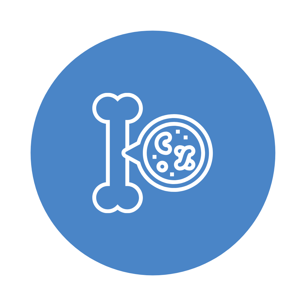 dna icon