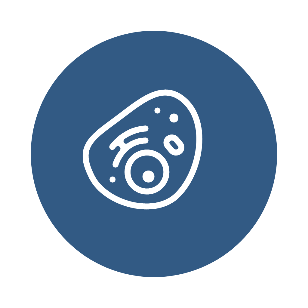 dna icon