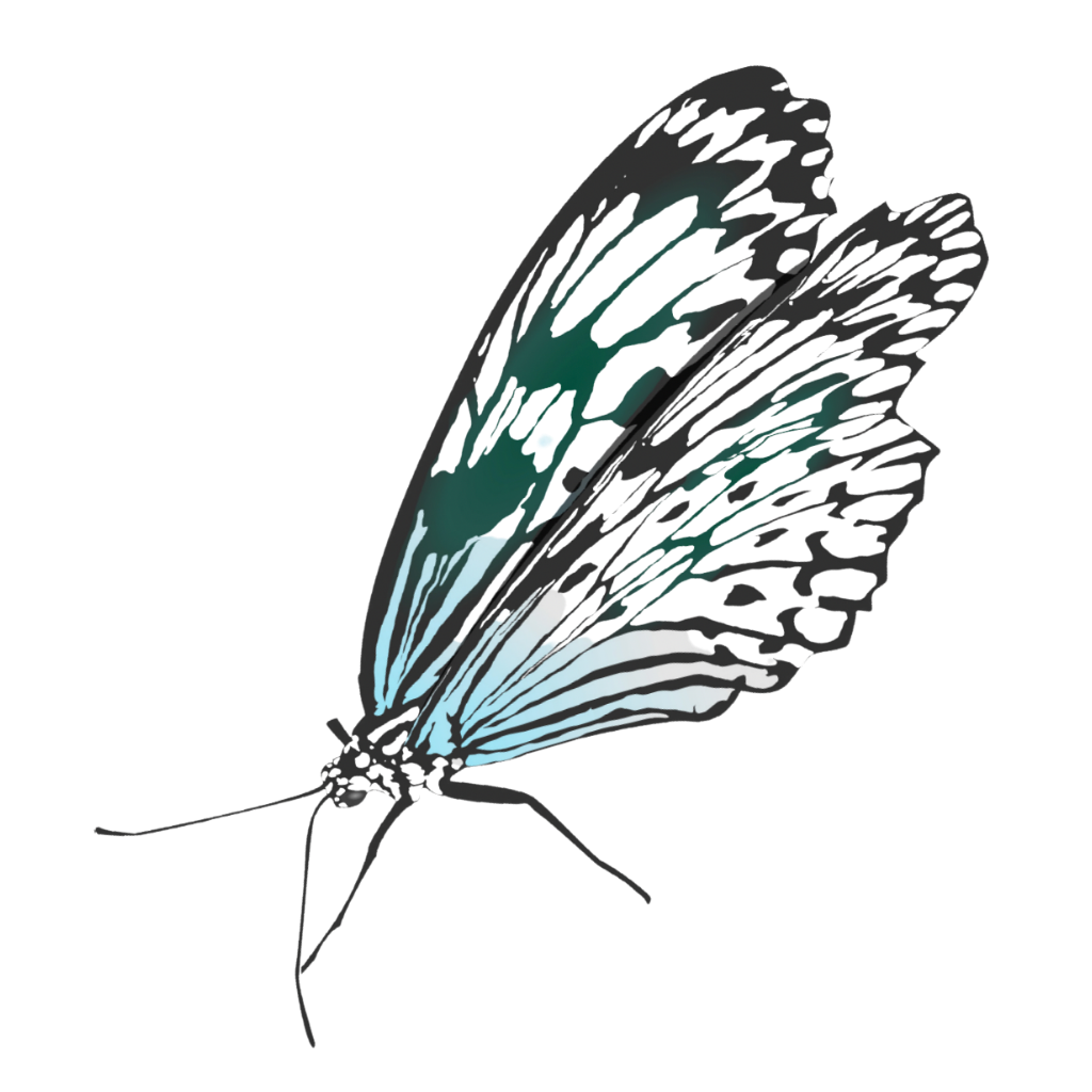 Isheo - Butterfly
